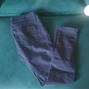 Blue Skinny Jeans with Sleek Fit